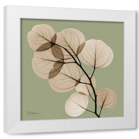 Eucalyptus White Modern Wood Framed Art Print by Koetsier, Albert