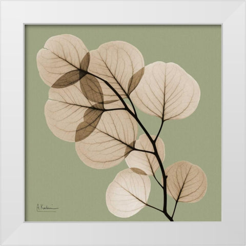 Eucalyptus White Modern Wood Framed Art Print by Koetsier, Albert