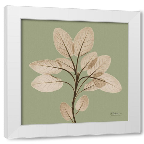 Berggarten Sage White Modern Wood Framed Art Print by Koetsier, Albert