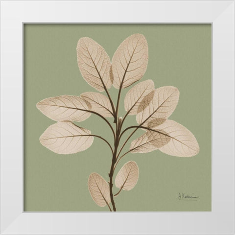 Berggarten Sage White Modern Wood Framed Art Print by Koetsier, Albert