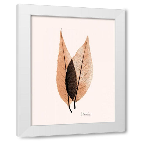 Caplulin Cherry Orange White Modern Wood Framed Art Print by Koetsier, Albert