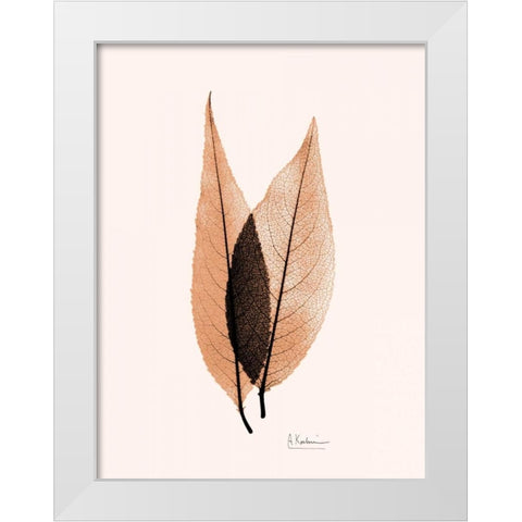 Caplulin Cherry Orange White Modern Wood Framed Art Print by Koetsier, Albert