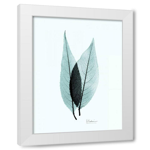 Caplulin Cherry Teal White Modern Wood Framed Art Print by Koetsier, Albert