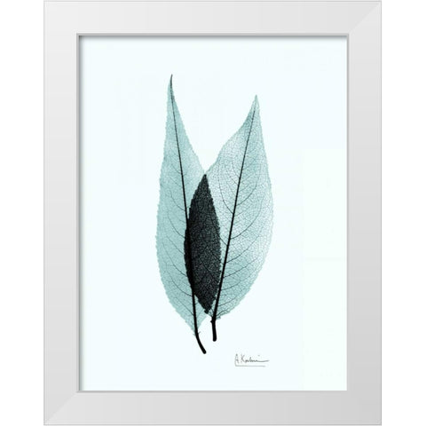 Caplulin Cherry Teal White Modern Wood Framed Art Print by Koetsier, Albert