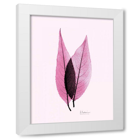 Caplulin Cherry Pink White Modern Wood Framed Art Print by Koetsier, Albert