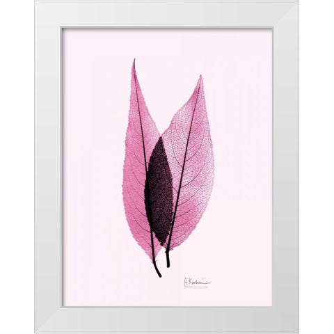 Caplulin Cherry Pink White Modern Wood Framed Art Print by Koetsier, Albert