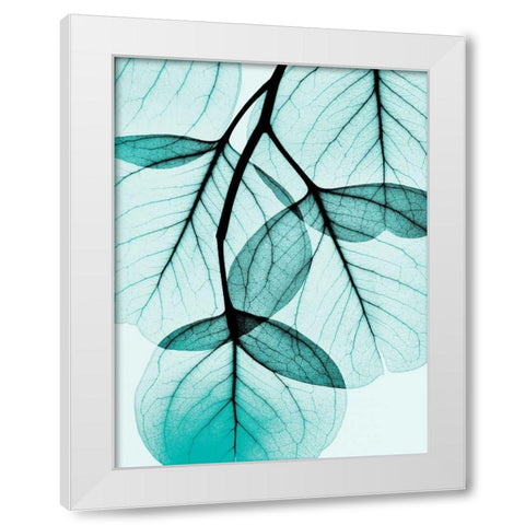 Teal Eucalyptus White Modern Wood Framed Art Print by Koetsier, Albert