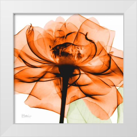 Orange Rose White Modern Wood Framed Art Print by Koetsier, Albert