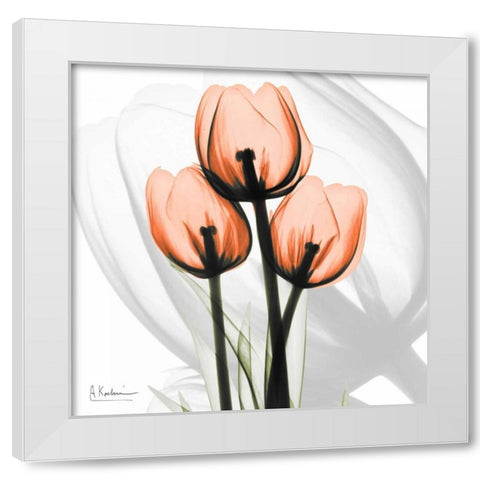 Orange tulips White Modern Wood Framed Art Print by Koetsier, Albert