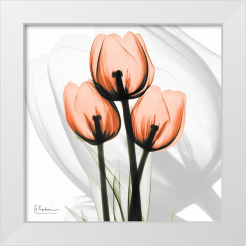 Orange tulips White Modern Wood Framed Art Print by Koetsier, Albert