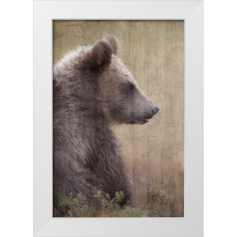 Contemplation White Modern Wood Framed Art Print by Bailey, Ann
