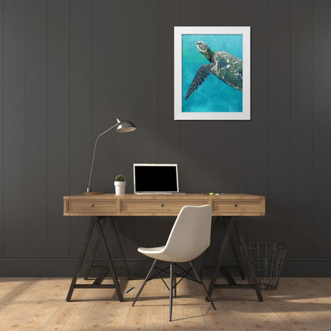 Sea Turtle 3 White Modern Wood Framed Art Print by Bailey, Ann