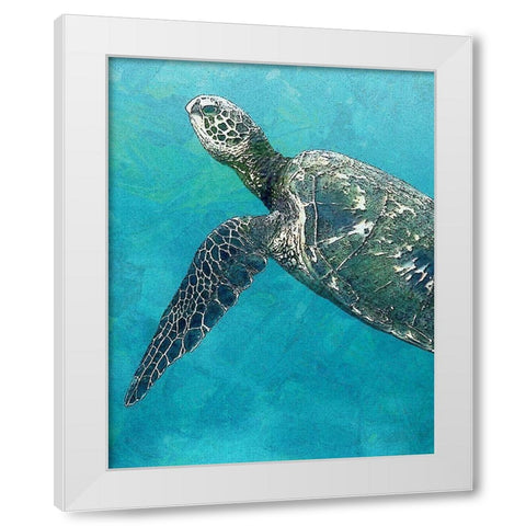 Sea Turtle 3 White Modern Wood Framed Art Print by Bailey, Ann