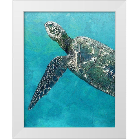 Sea Turtle 3 White Modern Wood Framed Art Print by Bailey, Ann