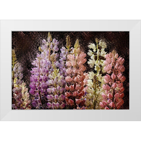 Summer Lupine White Modern Wood Framed Art Print by Bailey, Ann