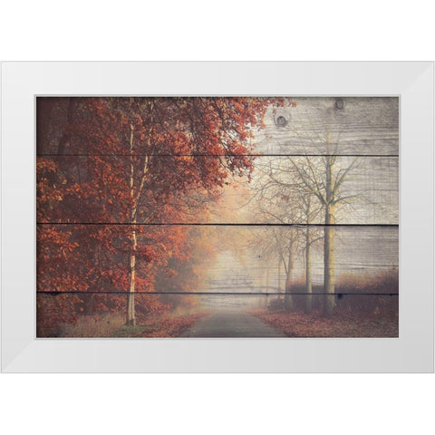A Journey White Modern Wood Framed Art Print by Bailey, Ann