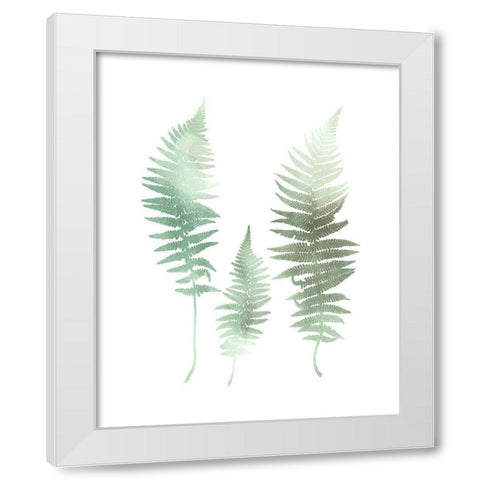 Watercolor Fern 1 White Modern Wood Framed Art Print by Bailey, Ann