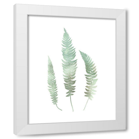 Watercolor Fern 3 White Modern Wood Framed Art Print by Bailey, Ann