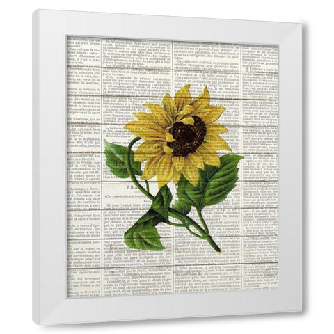 Sunflower Print 1 White Modern Wood Framed Art Print by Bailey, Ann
