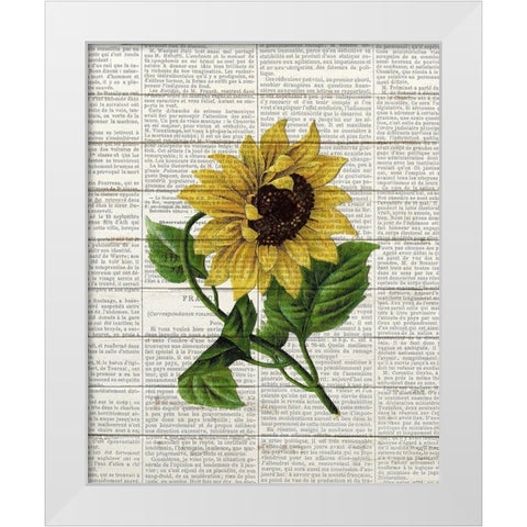 Sunflower Print 1 White Modern Wood Framed Art Print by Bailey, Ann