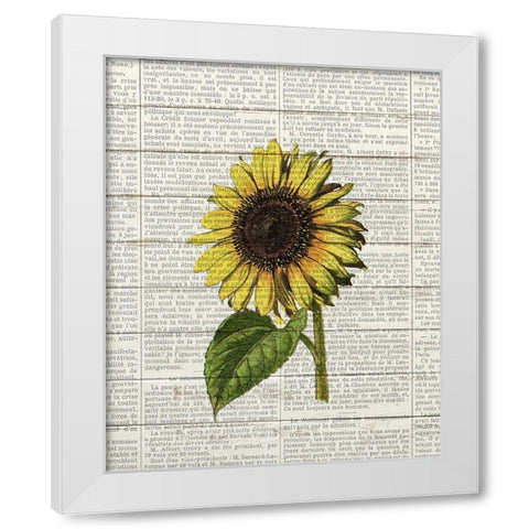 Sunflower Print 2 White Modern Wood Framed Art Print by Bailey, Ann