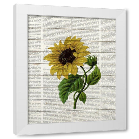 Sunflower Print 3 White Modern Wood Framed Art Print by Bailey, Ann