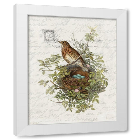 Nesting 2 White Modern Wood Framed Art Print by Bailey, Ann