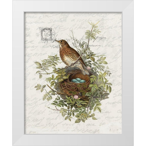 Nesting 2 White Modern Wood Framed Art Print by Bailey, Ann