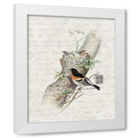 Nesting 3 White Modern Wood Framed Art Print by Bailey, Ann