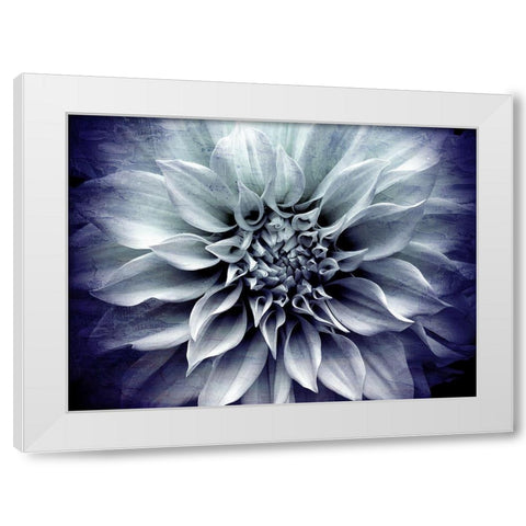 Amethyst Bloom White Modern Wood Framed Art Print by Bailey, Ann