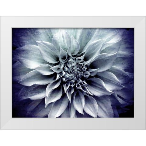 Amethyst Bloom White Modern Wood Framed Art Print by Bailey, Ann