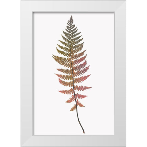 Coral Gold Fern 2 White Modern Wood Framed Art Print by Bailey, Ann