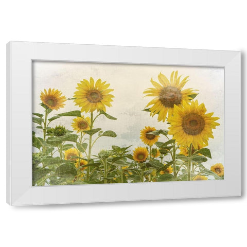 Sunny Mood White Modern Wood Framed Art Print by Bailey, Ann