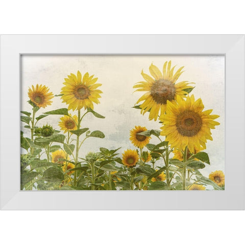 Sunny Mood White Modern Wood Framed Art Print by Bailey, Ann