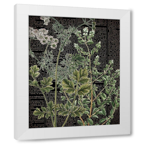 Botanical Newspaper 1 White Modern Wood Framed Art Print by Bailey, Ann