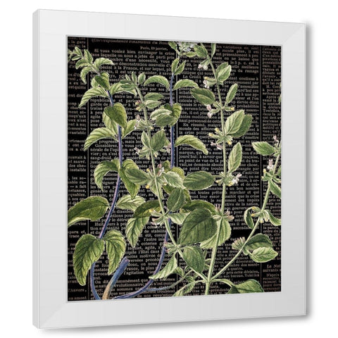 Botanical Newspaper 2 White Modern Wood Framed Art Print by Bailey, Ann