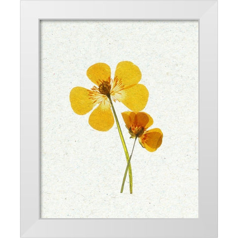 Little 1 White Modern Wood Framed Art Print by Bailey, Ann