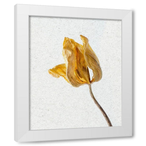 Pressed 1 White Modern Wood Framed Art Print by Bailey, Ann
