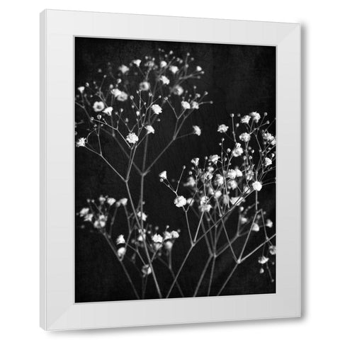 Delicate 1 White Modern Wood Framed Art Print by Bailey, Ann