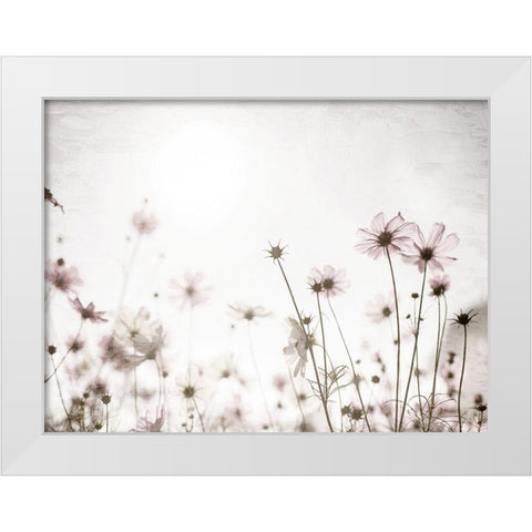 Soft Spring White Modern Wood Framed Art Print by Bailey, Ann