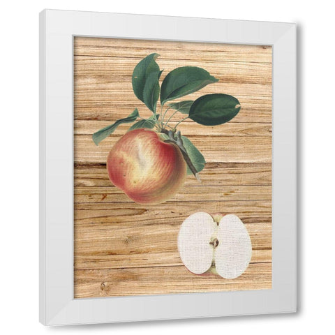 Pressed Fruit 1 White Modern Wood Framed Art Print by Bailey, Ann