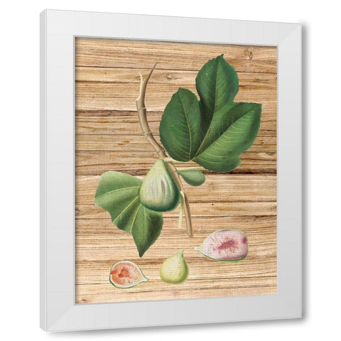 Pressed Fruit 2 White Modern Wood Framed Art Print by Bailey, Ann
