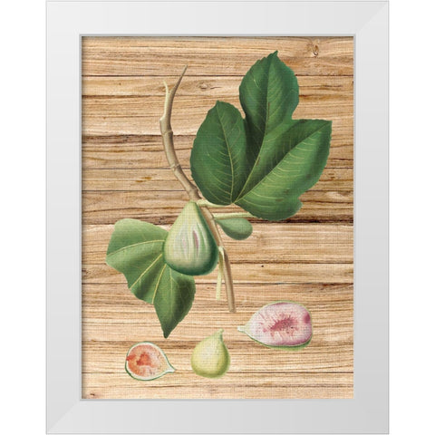 Pressed Fruit 2 White Modern Wood Framed Art Print by Bailey, Ann