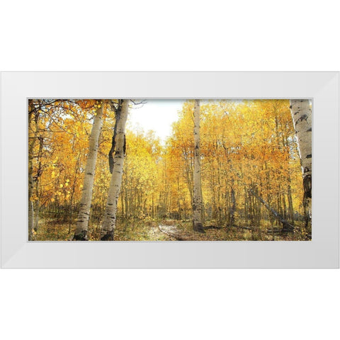 Aspen Pathway White Modern Wood Framed Art Print by Bailey, Ann