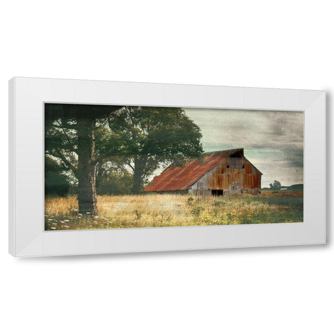 Country Life White Modern Wood Framed Art Print by Bailey, Ann