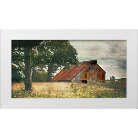 Country Life White Modern Wood Framed Art Print by Bailey, Ann