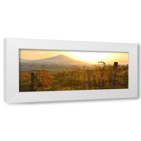 Dawn Over the Vineyard White Modern Wood Framed Art Print by Bailey, Ann