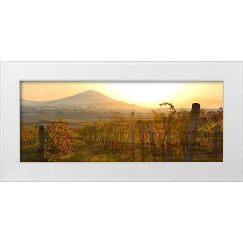 Dawn Over the Vineyard White Modern Wood Framed Art Print by Bailey, Ann