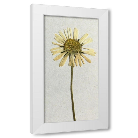 Happy 1 White Modern Wood Framed Art Print by Bailey, Ann