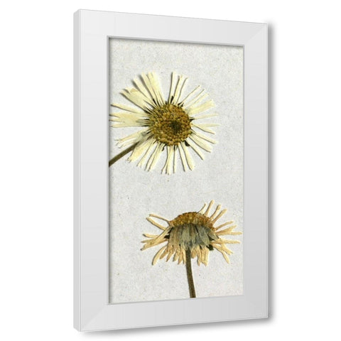 Happy 2 White Modern Wood Framed Art Print by Bailey, Ann